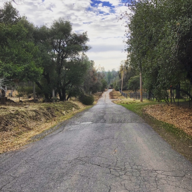 The long way home